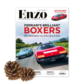 Enzo Christmas Offer